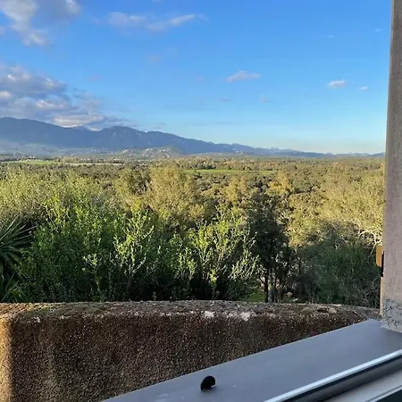 아파트 Neuf Dans Hameau Proche Vecchio 포르토베쉬오