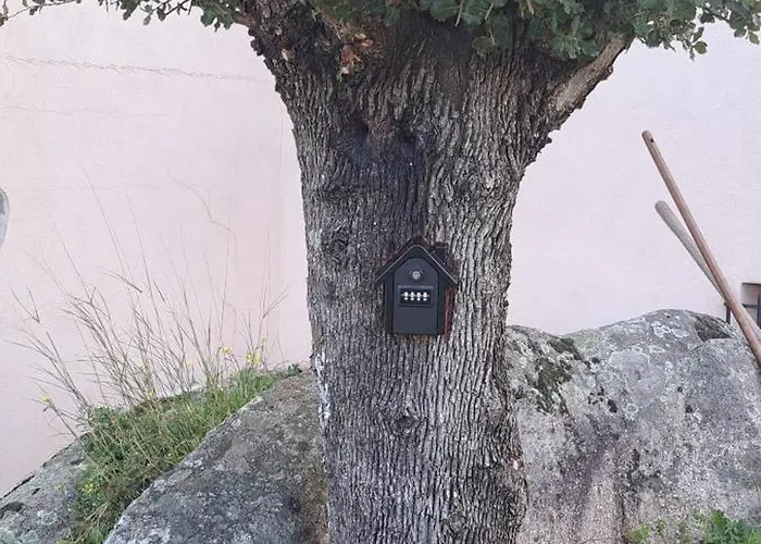 Neuf Dans Hameau Proche Vecchio Lägenhet Porto-Vecchio (Corsica)